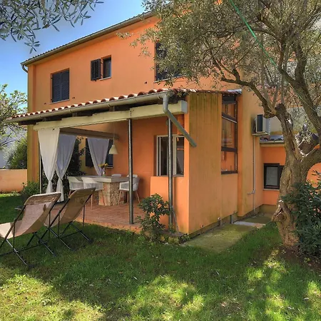 Comfortable With Private Terrace Daire *